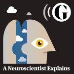 A Neurscientist Explains