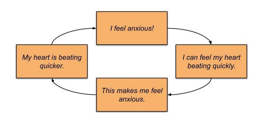 Anxiety Feedback Loop