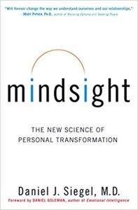 Mindsight Change Your Brain And Your Life