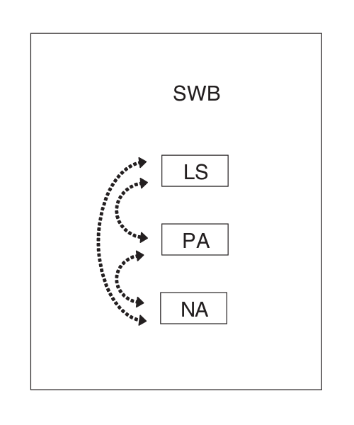 Tripartite Model SWB
